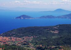 Ferienhaus Elba Urlaub planen
